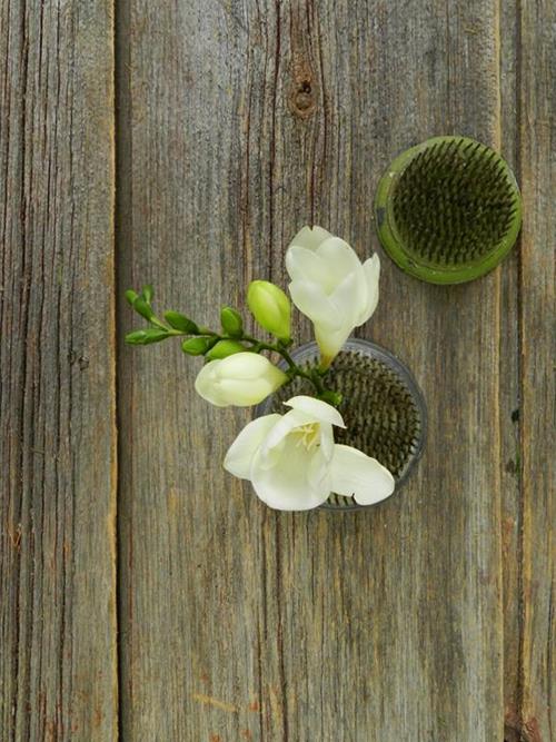 Wholesale White Flowers Online FlowerFarm